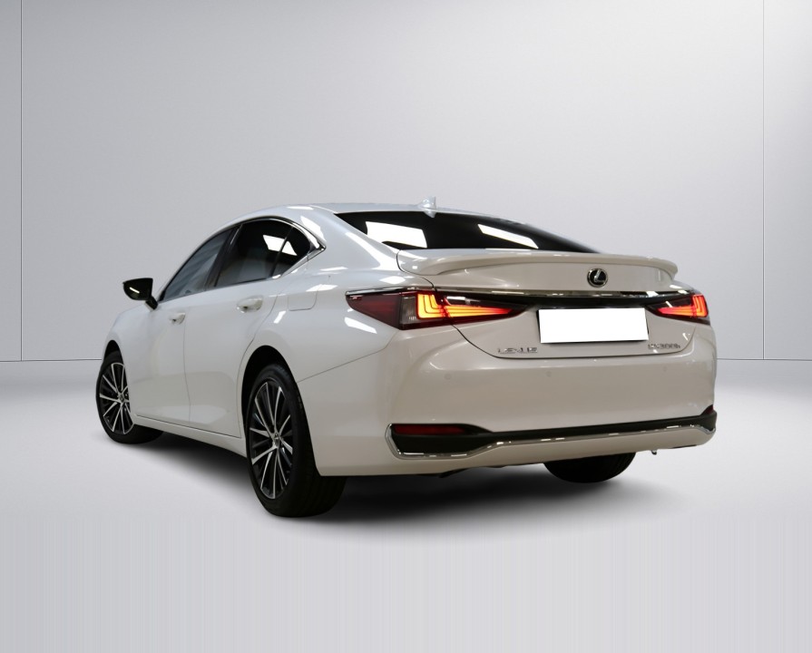 Lexus Seria ES 300h Limited Edition (5)