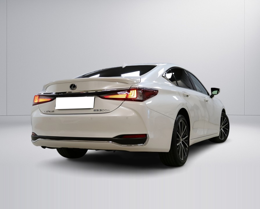 Lexus Seria ES 300h Limited Edition (3)