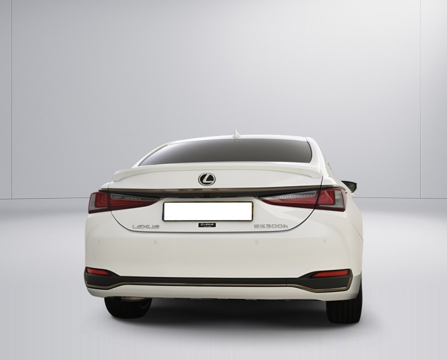 Lexus Seria ES 300h F-Sport (3)
