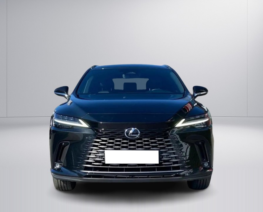 Lexus Seria RX 350h AWD Executive Line (2)