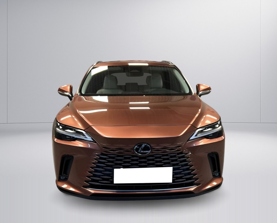 Lexus Seria RX 450h+ Executive - foto 8