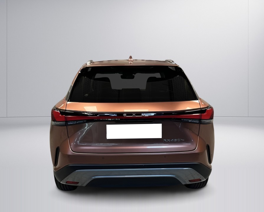 Lexus Seria RX 450h+ Executive (4)