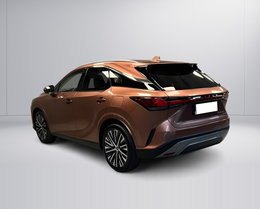 Lexus Seria RX 450h+ Executive (5)
