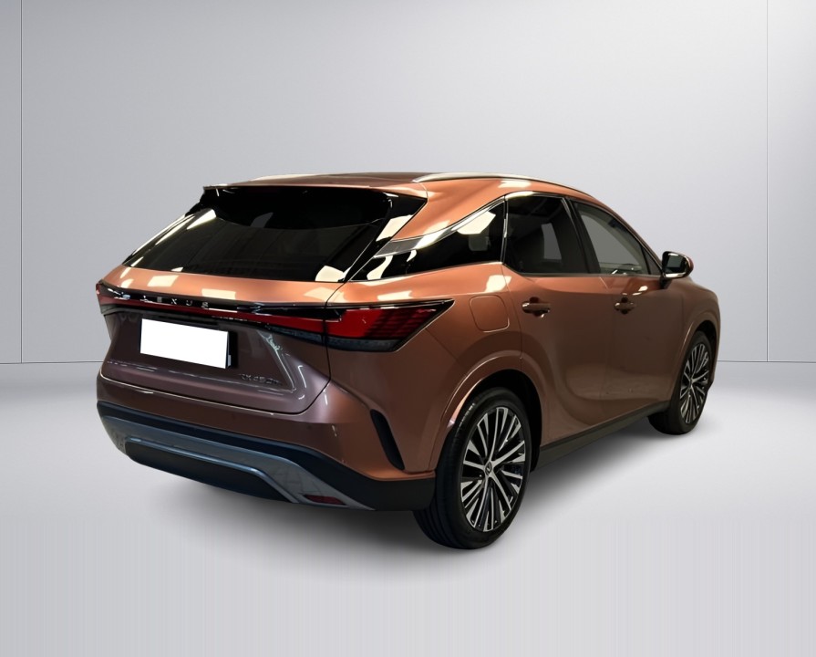 Lexus Seria RX 450h+ Executive (3)