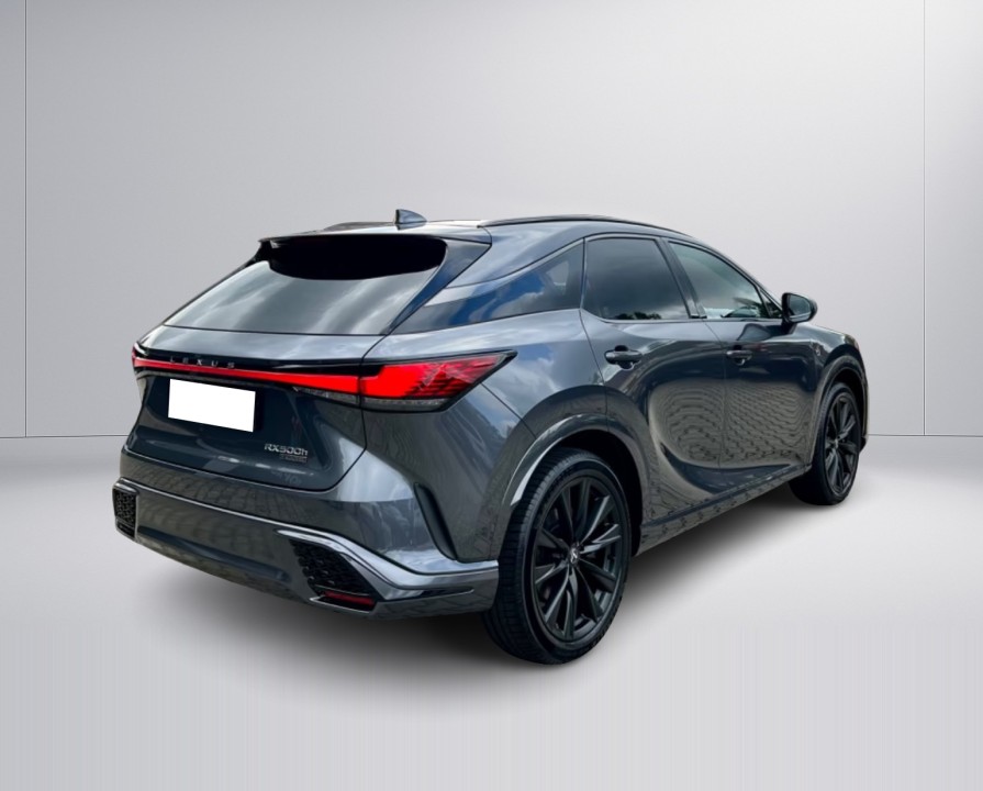 Lexus Seria RX 500h F-Sport (4)