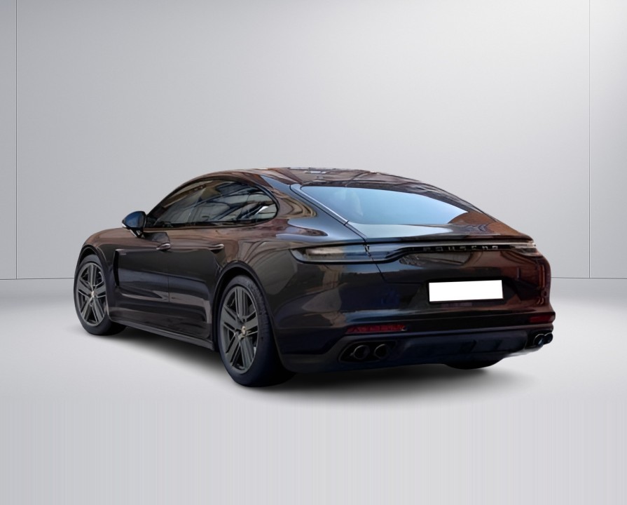 Porsche Panamera 4 E-Hybrid Platinum Edition (2)