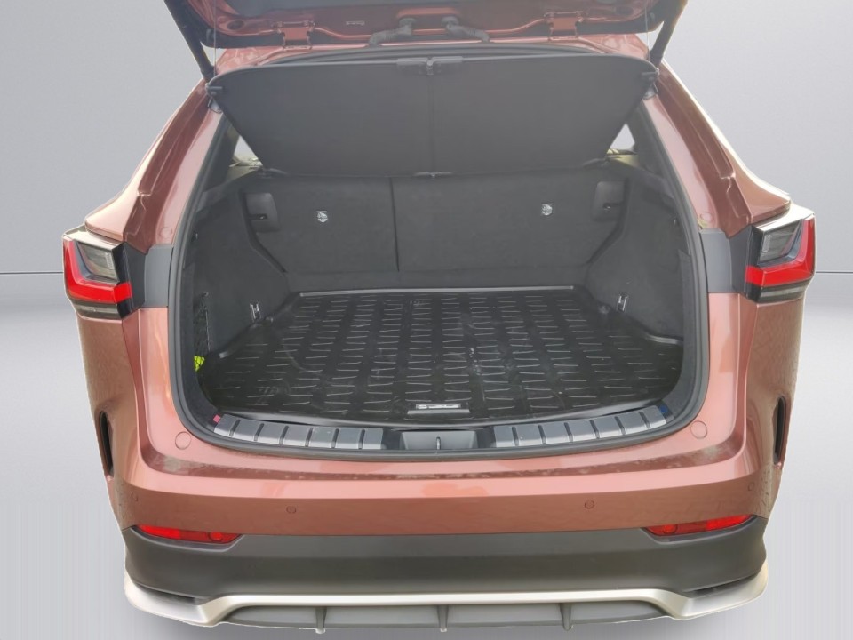 Lexus Seria NX 450h F-Sport - foto 13