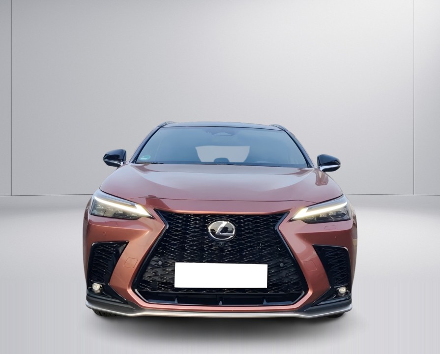 Lexus Seria NX 450h F-Sport - foto 8