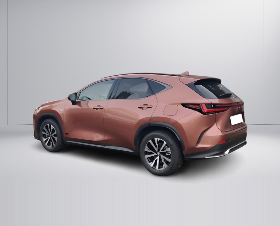 Lexus Seria NX 450h F-Sport (5)