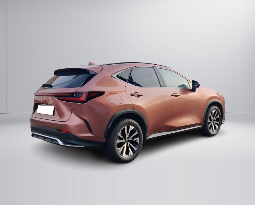 Lexus Seria NX 450h F-Sport (3)