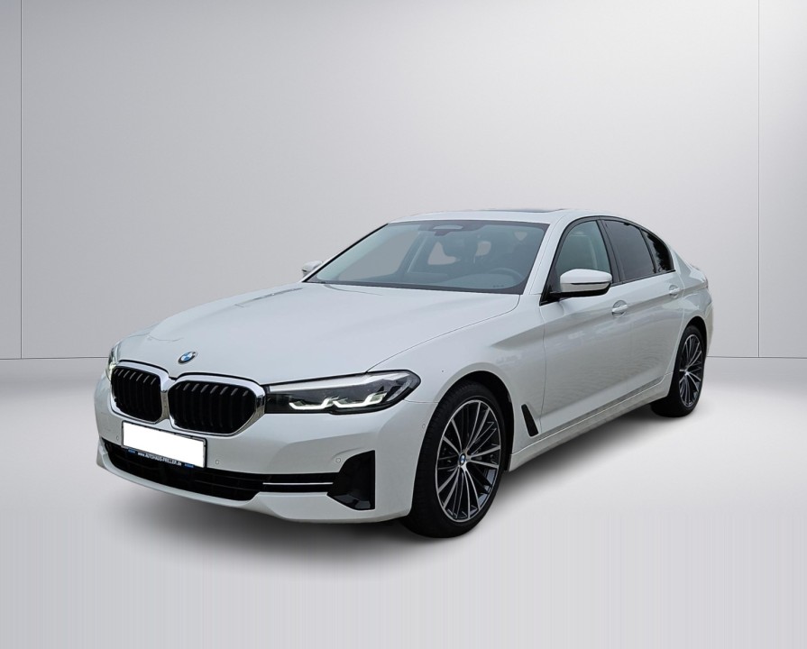 BMW Seria 5 530d xDrive (2)