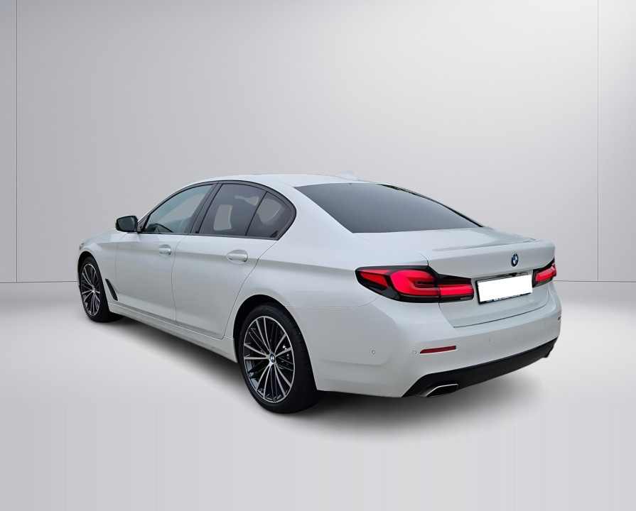 BMW Seria 5 530d xDrive (4)
