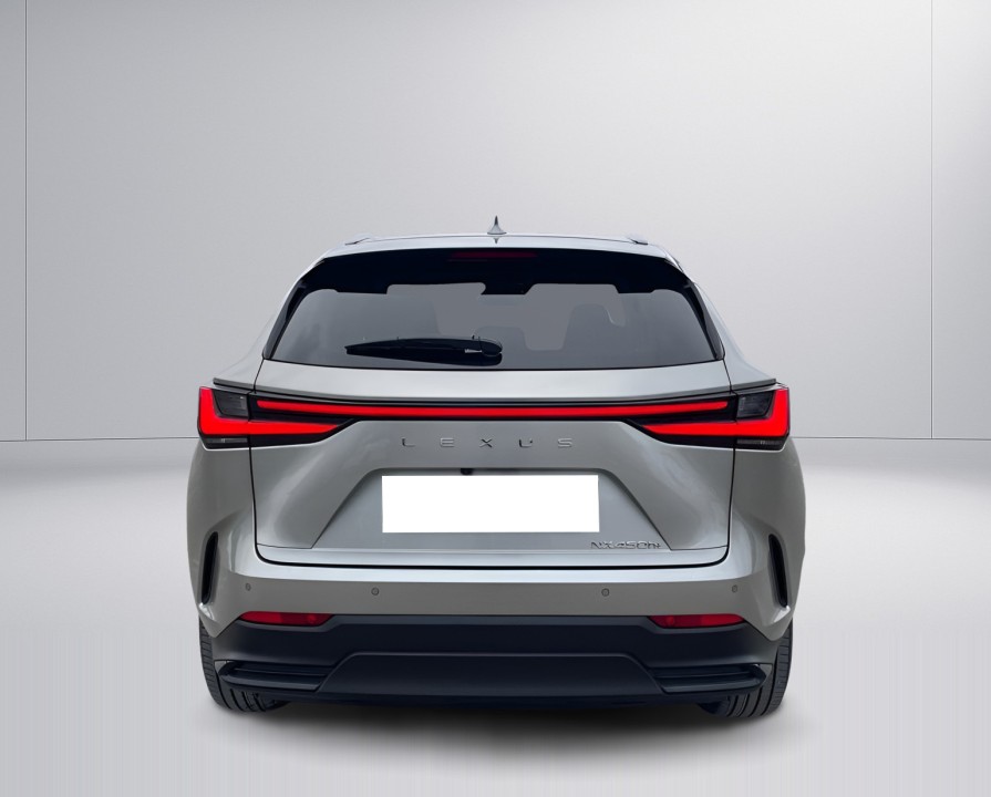 Lexus Seria NX 450h+ AWD Business Plus (4)