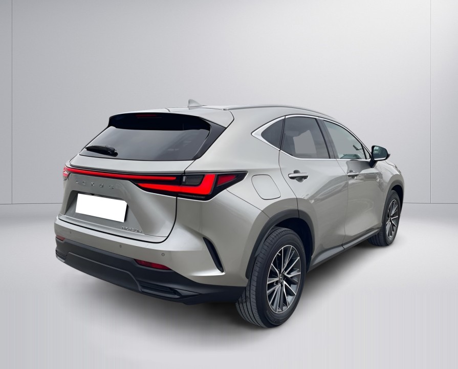 Lexus Seria NX 450h+ AWD Business Plus (3)