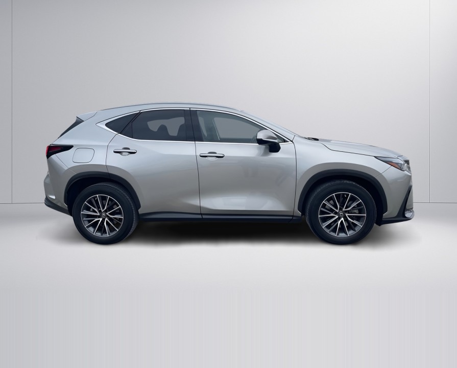 Lexus Seria NX 450h+ AWD Business Plus (2)