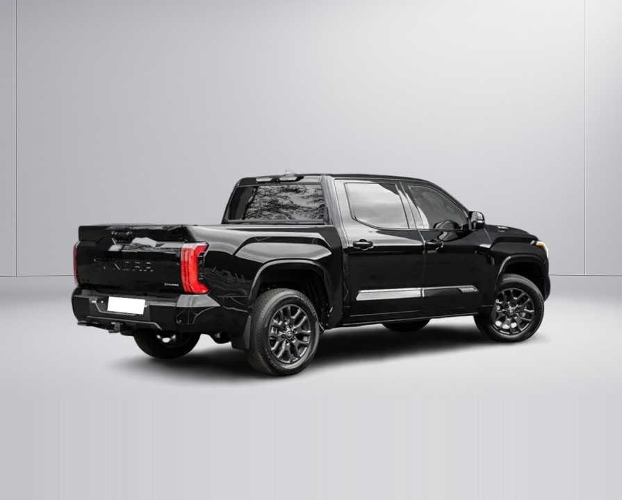 Toyota Tundra Platinum (3)