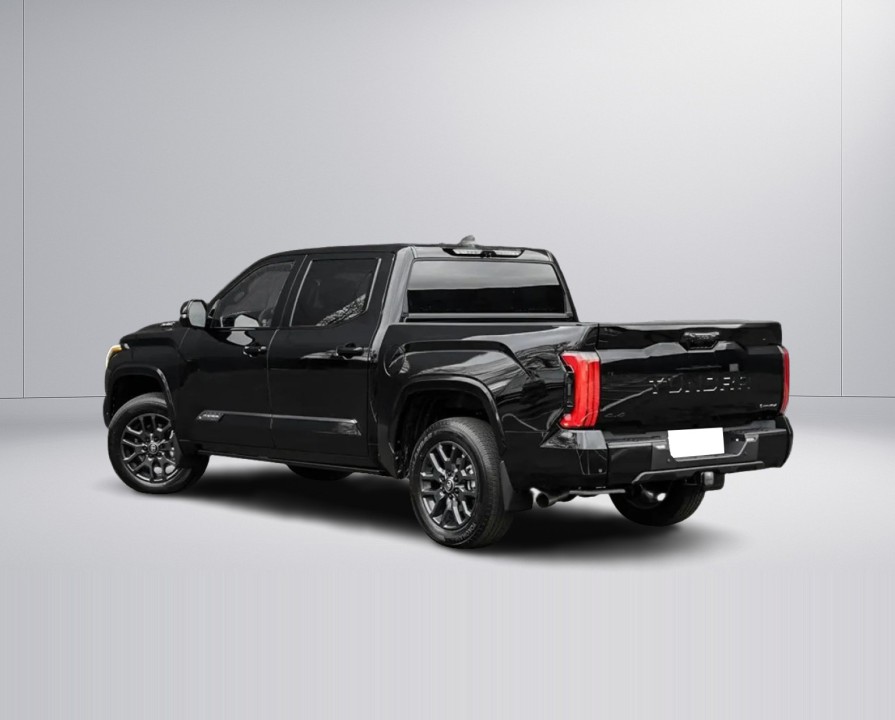 Toyota Tundra Platinum (5)