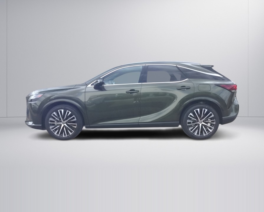 Lexus Seria RX 450h+ AWD Executive Line (4)