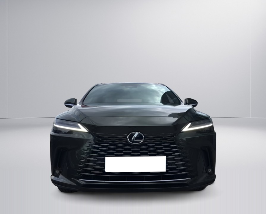 Lexus Seria RX 450h+ AWD Executive Line (2)