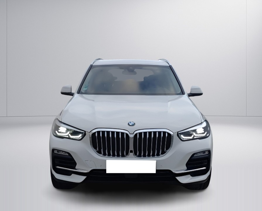 BMW X5 xDrive45e xLine (2)