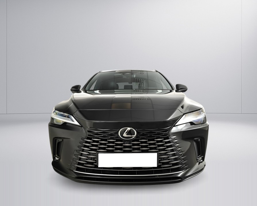 Lexus Seria RX 450h+ Luxury Line (5)