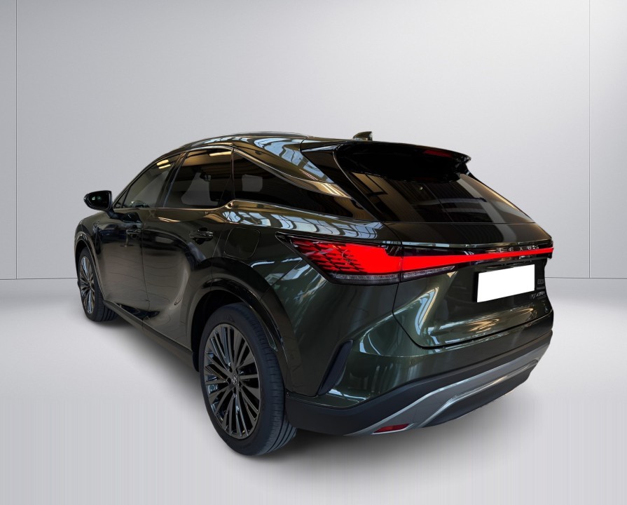 Lexus Seria RX 450h+ Luxury Line (5)