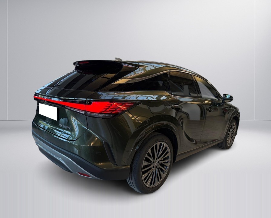 Lexus Seria RX 450h+ Luxury Line (4)