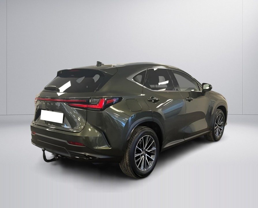 Lexus Seria NX 450h+ Business (2)