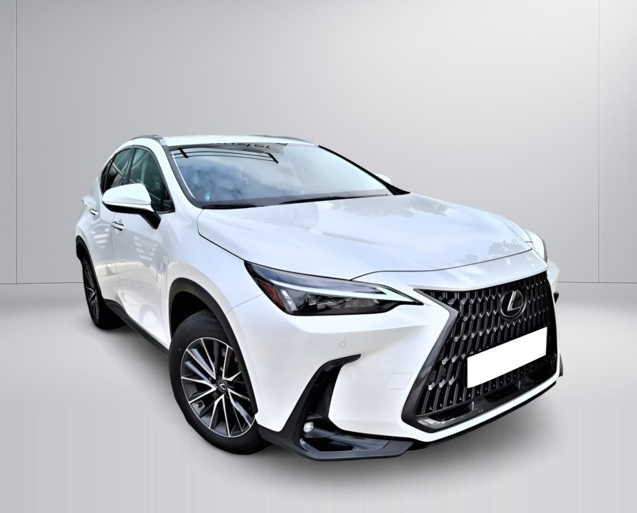 Lexus Seria NX 450h+ Business (2)