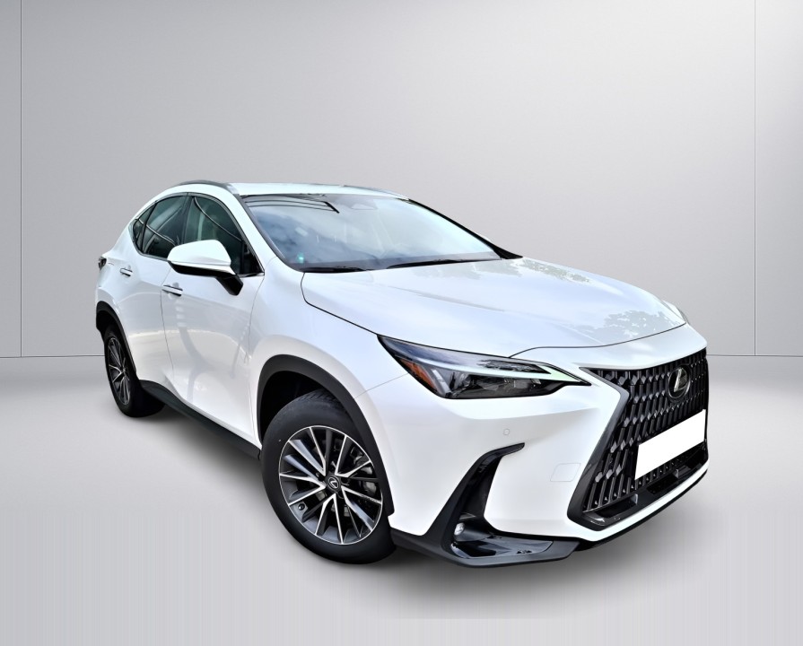 Lexus Seria NX 450h+ Business