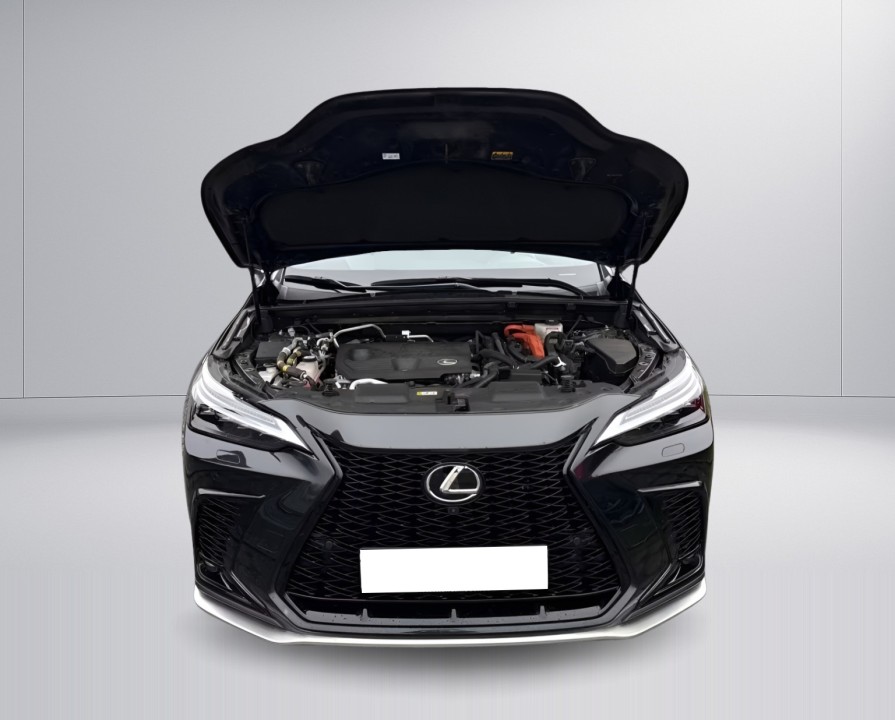 Lexus Seria NX 450h+ AWD F-Sport - foto 16