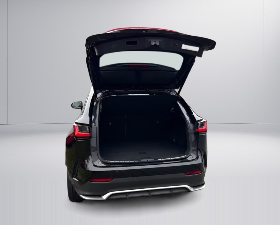 Lexus Seria NX 450h+ AWD F-Sport - foto 15