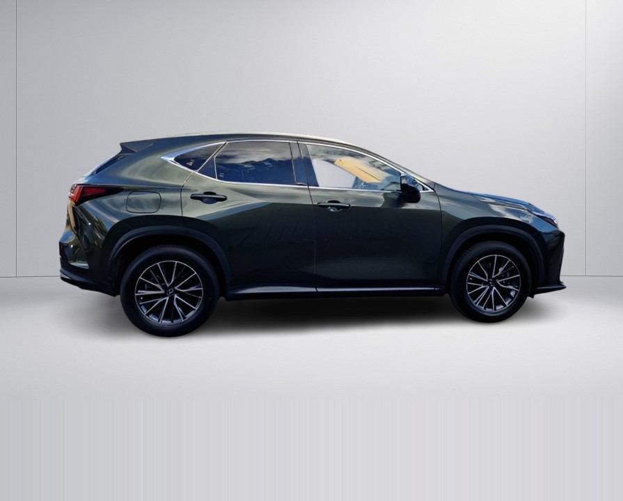 Lexus Seria NX 450h+ AWD Executive (2)