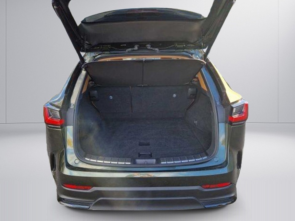 Lexus Seria NX 450h+ AWD Executive - foto 15