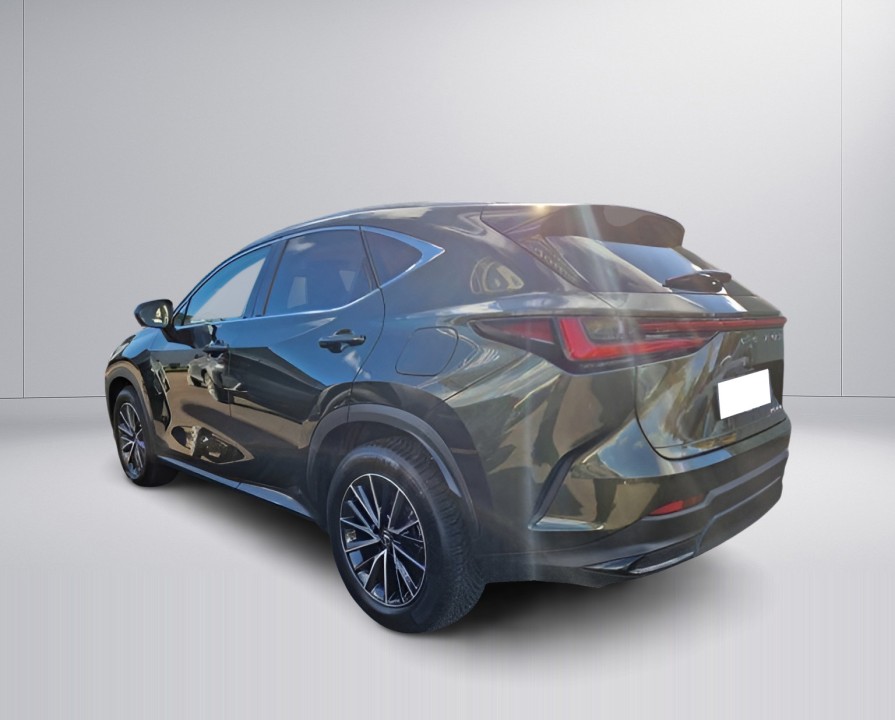 Lexus Seria NX 450h+ AWD Executive (5)