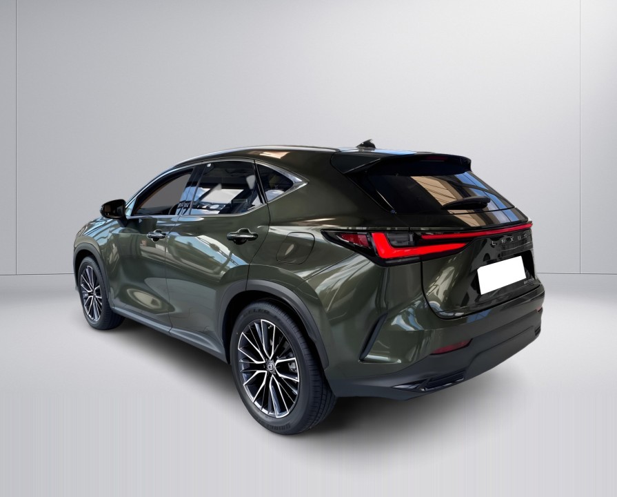 Lexus Seria NX 350h AWD Luxury Line (4)