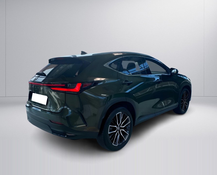 Lexus Seria NX 350h AWD Luxury Line (3)