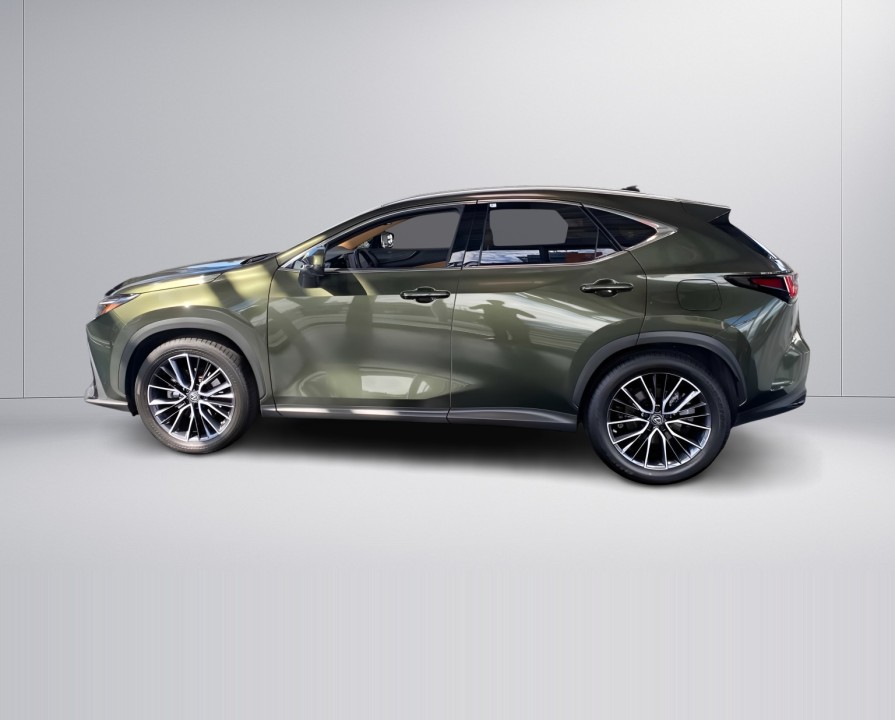 Lexus Seria NX 350h AWD Luxury Line (5)