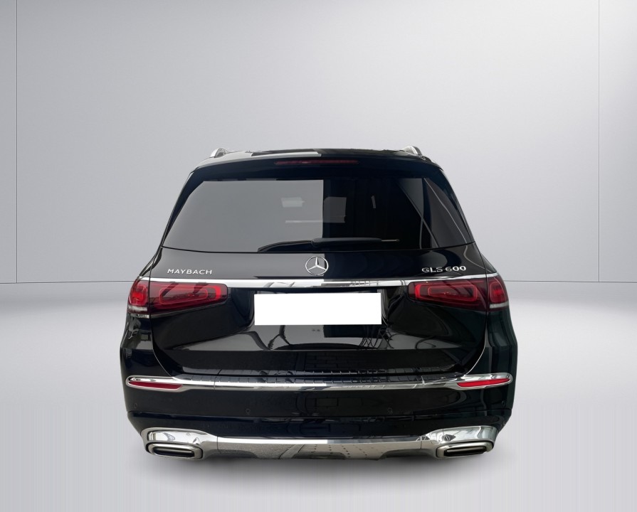 Mercedes-Benz GLS Maybach 600 (3)