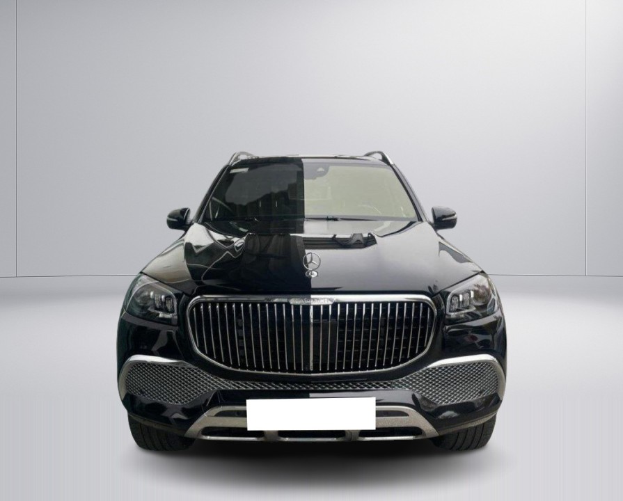 Mercedes-Benz GLS Maybach 600 (2)