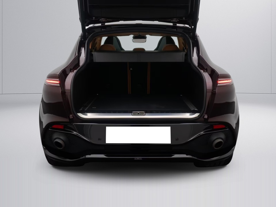 Aston Martin DBX - foto 38
