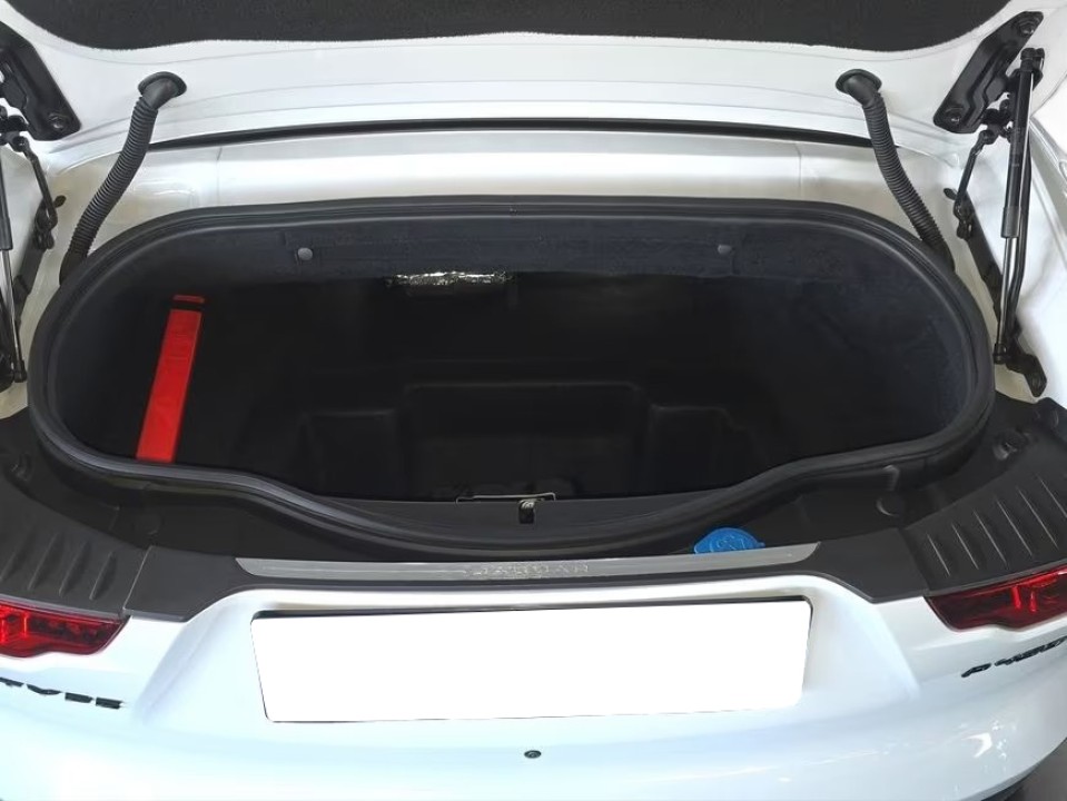 Jaguar F-Type P450 R-Dynamic - foto 17