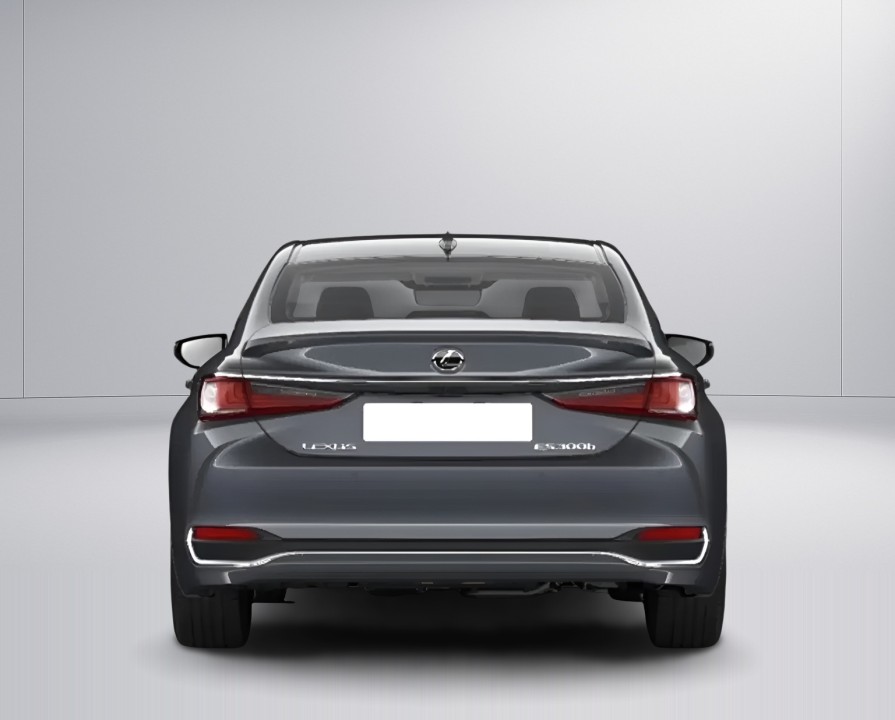 Lexus Seria ES 300h (4)