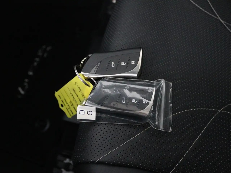 Lexus Seria ES 300h Executive - foto 11