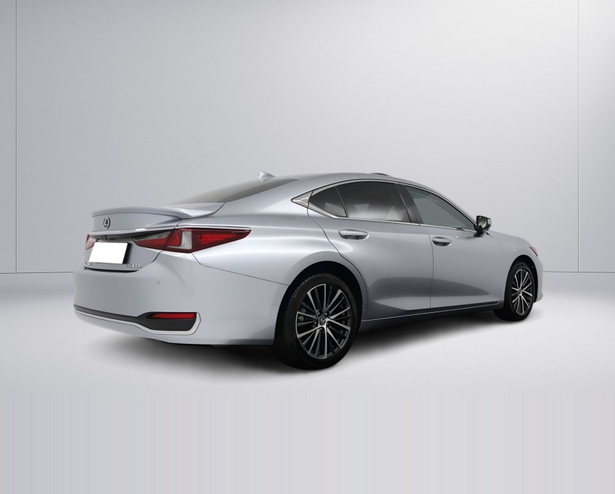 Lexus Seria ES 300h Executive (2)
