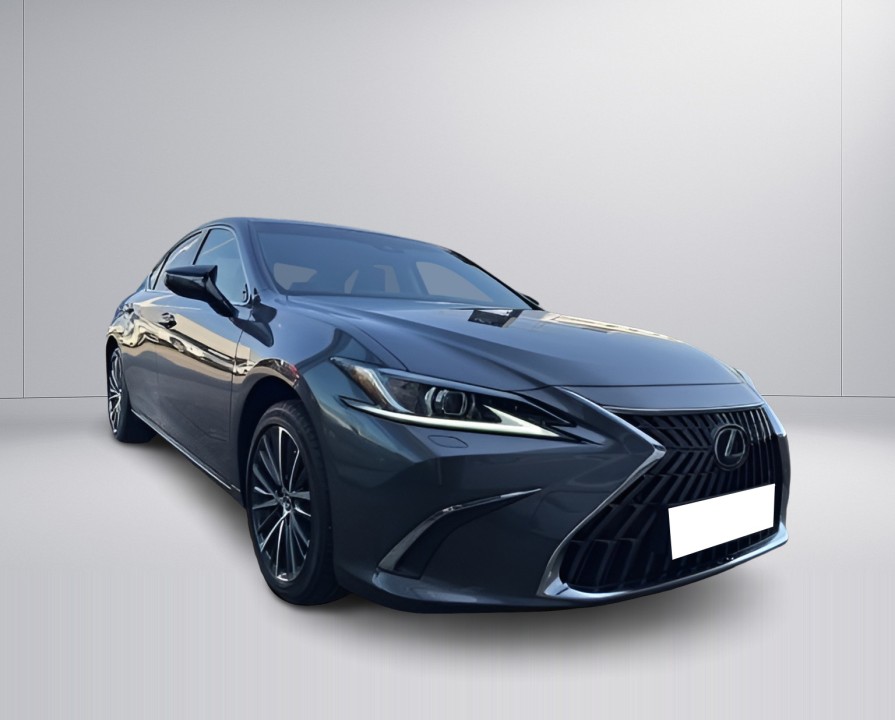 Lexus Seria ES 300h