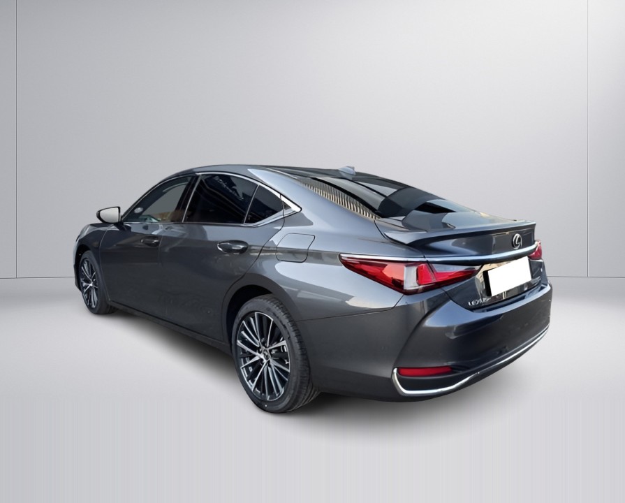 Lexus Seria ES 300h (4)