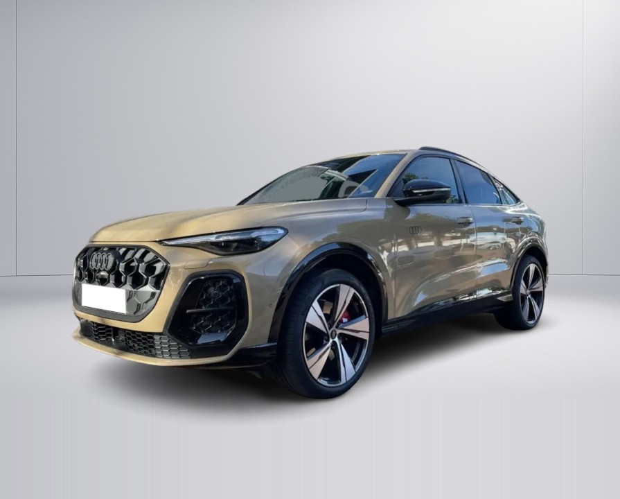 Audi SQ5 Quattro - foto 7