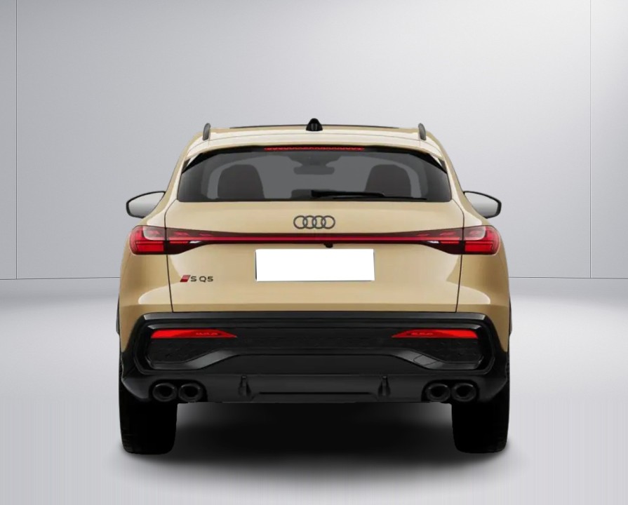 Audi SQ5 Quattro (4)