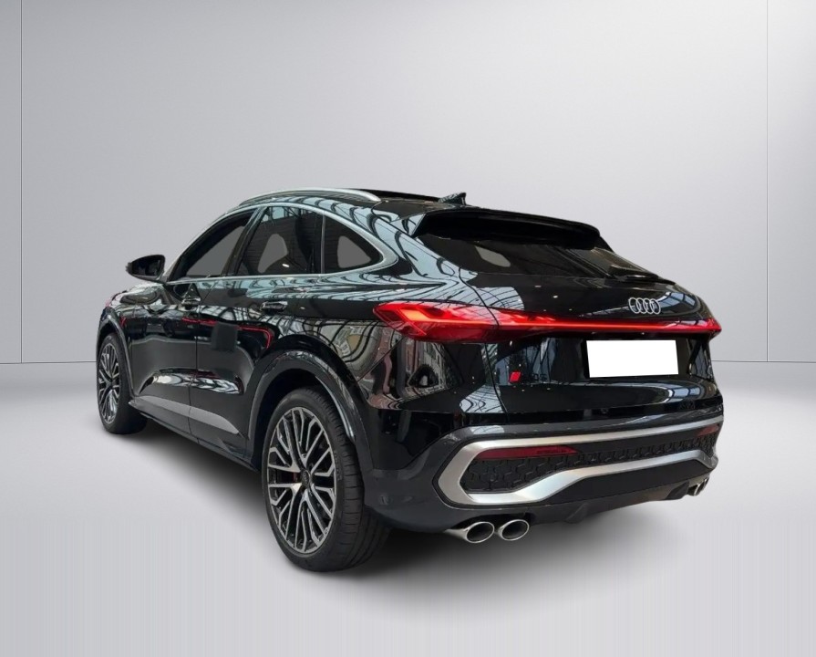 Audi SQ5 TFSI (3)